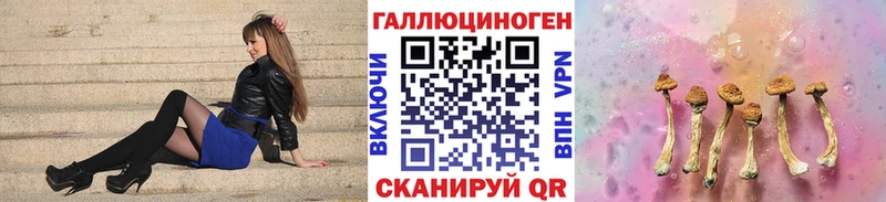 наркота  Аткарск  Псилоцибиновые грибы мицелий 
